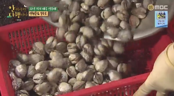 22년차 선후배인 김수로와 신현준이 꼬막비빔밥을 만들어 먹었다(사진, MBC '안 싸우면 다행이야' 캡처)