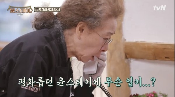 '윤스테이' 겨울 영업이 두번째 날을 맞았다 (사진, tvN '윤스테이' 캡처)