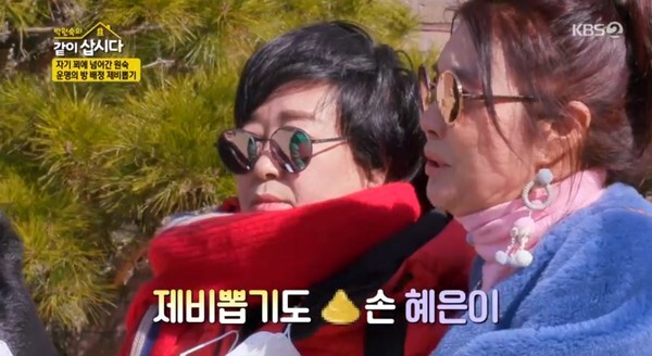 평창 집으로 이사한 김청, 김영란, 박원숙, 혜은이 (사진, KBS2TV '박원숙의 같이 삽시다3' 캡처)