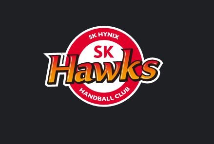 SK호크스 핸드볼 선수단 관련 코로나19 확진자가 2명 늘어 누적 17명이다.(사진=SK호크스 공식 홈페이지 캡처)