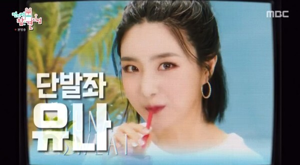 브레이브걸스가 인기를 입증했다 (사진, MBC '전지적참견시점' 캡처)