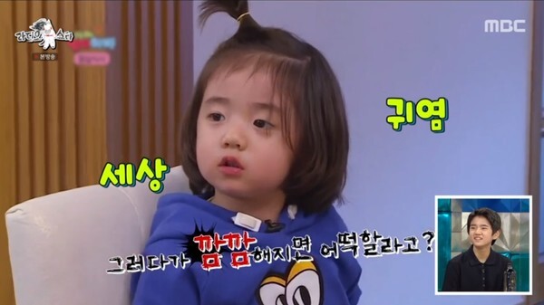 (사진, MBC '라디오스타' 캡처)