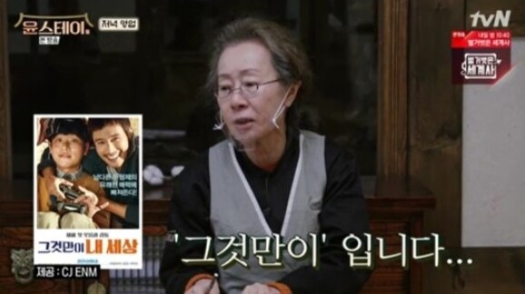 윤여정이 미국에서 주목받고 있다 (사진, tvN '윤스테이' 캡처)