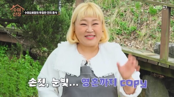 (사진, KBS2TV '수미산장' 캡처)