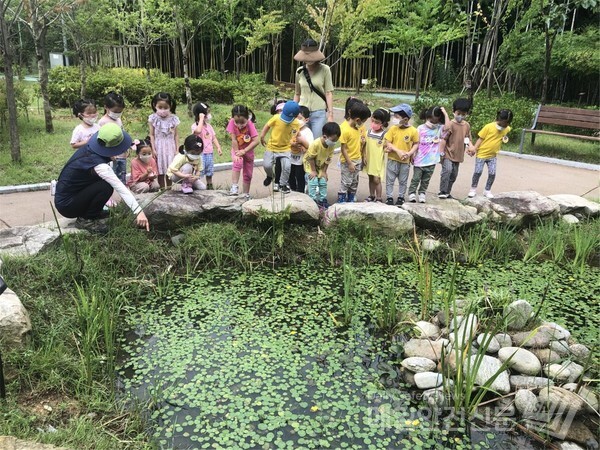 (사진= 산림청 제공)