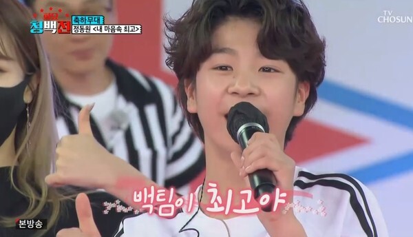 (사진, TV조선 '화요청백전' 캡처)