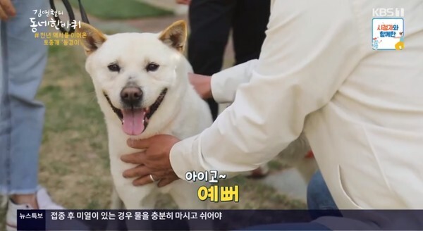 귀여운 동경이(사진, KBS1TV '김영철의 동네 한 바퀴' 캡처)