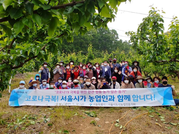 관련사진 (사진, 서울시 제공)