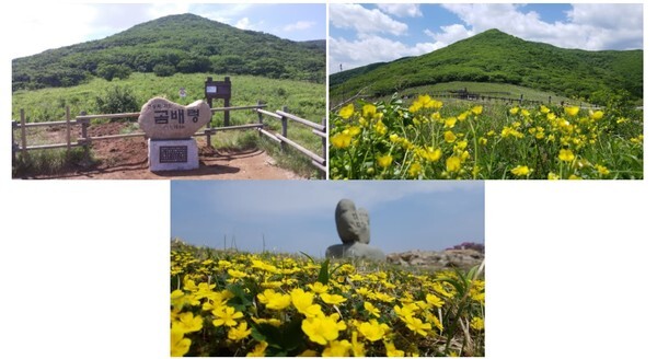 '천상의 화원' 점봉산 곰배령 (사진, 산림청 제공)