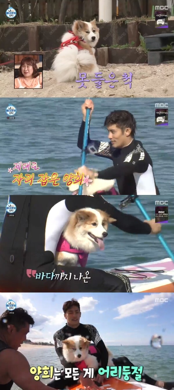 (사진, MBC '나혼자산다' 캡처)