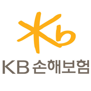 KB 손해보험 CI/KB 손해보험 제공