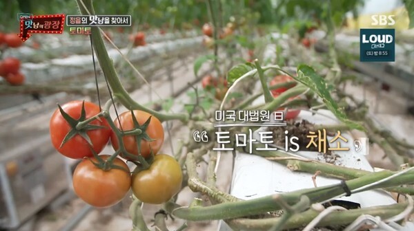 (사진, SBS '맛남의 광장' 캡처)