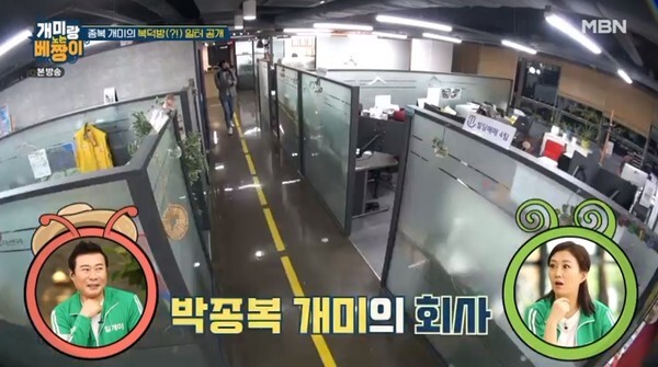 (사진, MBN  '개미랑 노는 베짱이' 캡처)