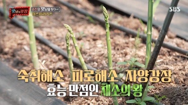 (사진, SBS '맛남의 광장' 캡처)