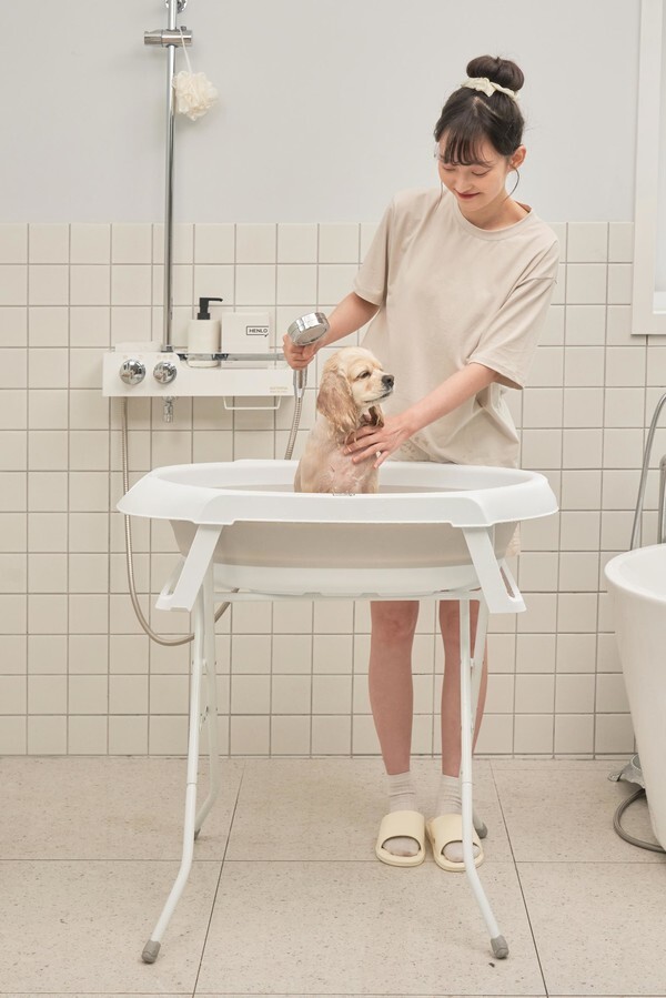 사진제공= 헨로포우