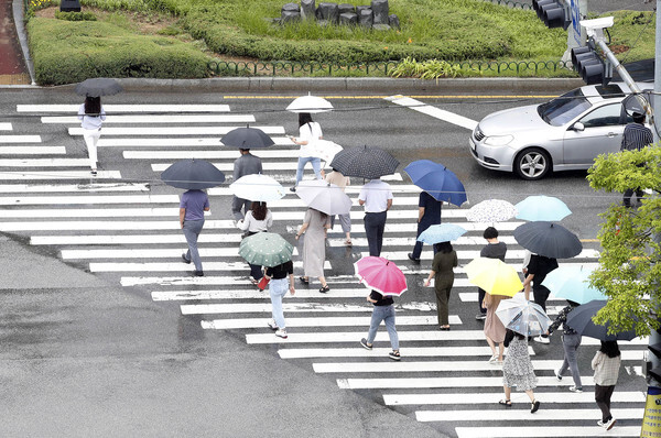 본격적인 장마가 시작된 5일 광주 북구청 교차로 교통섬에 지역 상권 활성화를 위해 밖으로 점심을 먹으러 나서는 북구청 직원들이 우산을 쓰고 횡단보도를 건너고 있다. /연합뉴스