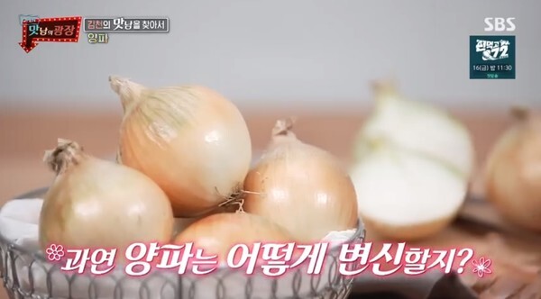 (사진, SBS '맛남의 광장' 캡처)