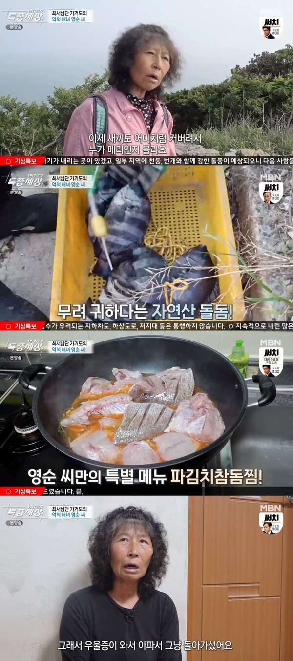(사진, MBN '현장르포 특종세상' 캡처)