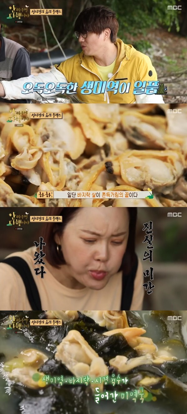 (사진, MBC '안 싸우면 다행이야' 캡처)