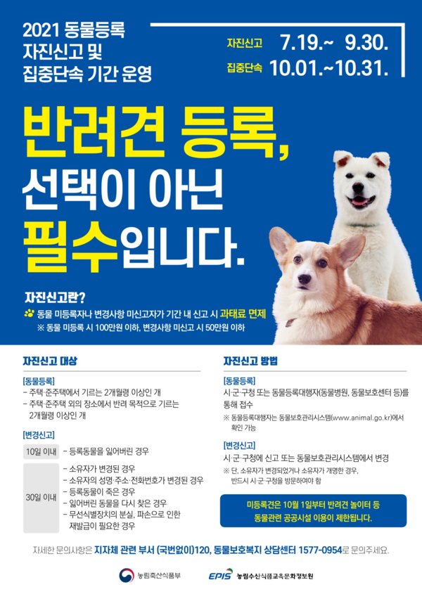 (이미지, 서울시 제공)