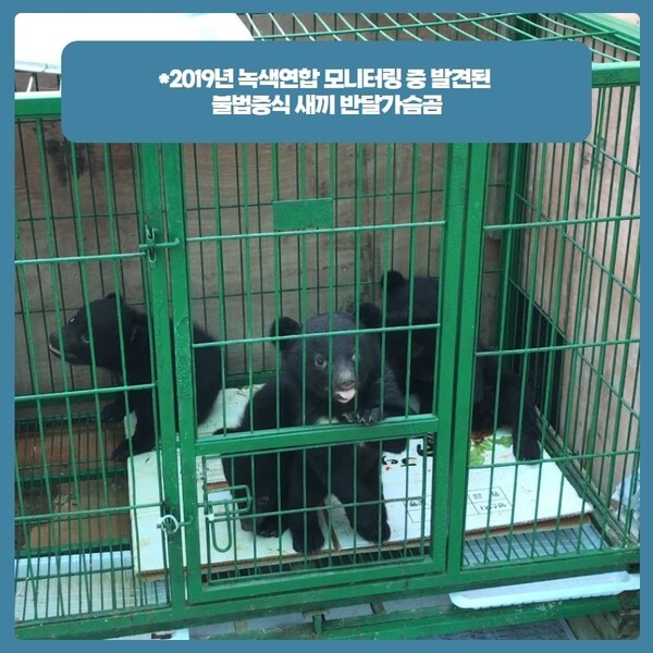불법증식된 반달 가슴곰/윤미향 의원실 제공