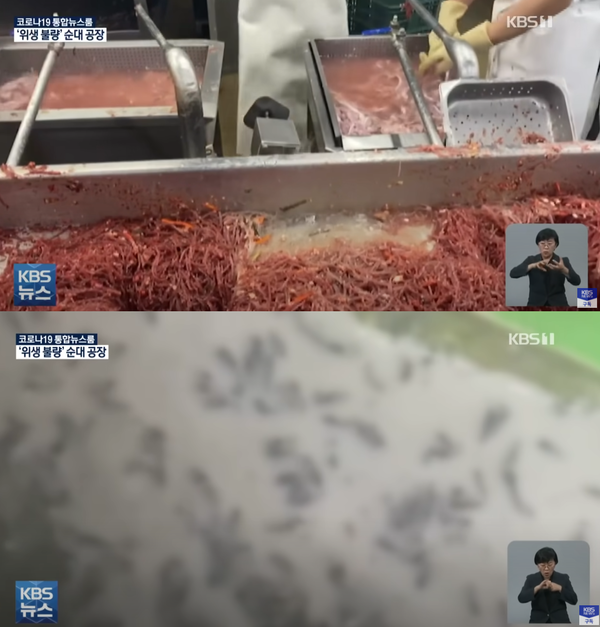 위생불량으로 논란이 된 순대업체(사진, KBS NEws 캡처)