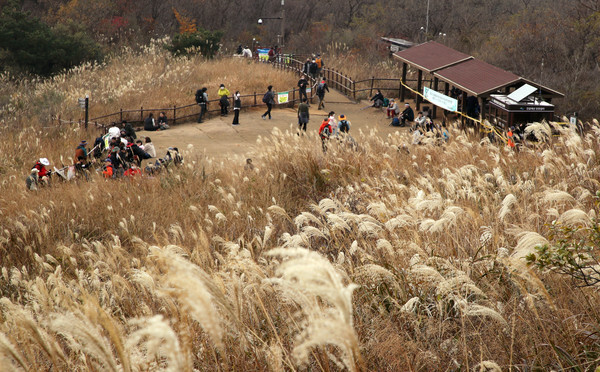 14일 광주 무등산에 오른 시민들이 억새 핀 중머리재에서 휴식하고 있다. /연합뉴스