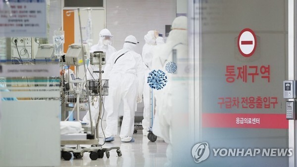 (그래픽=연합뉴스)