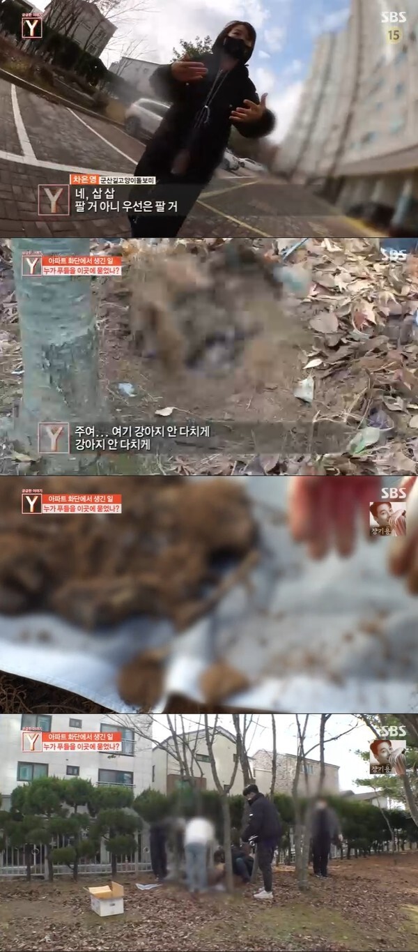 (사진, SBS '궁금한이야기Y' 캡처)