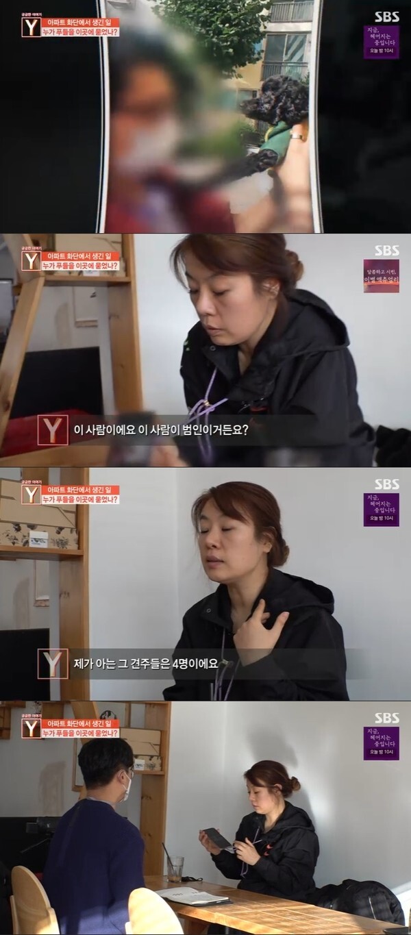 (사진, SBS '궁금한이야기Y' 캡처)