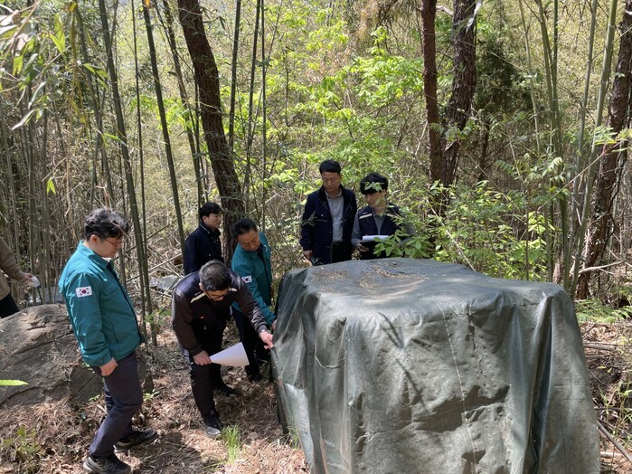 산림청, 재선충병 방제사업 신뢰도 높...